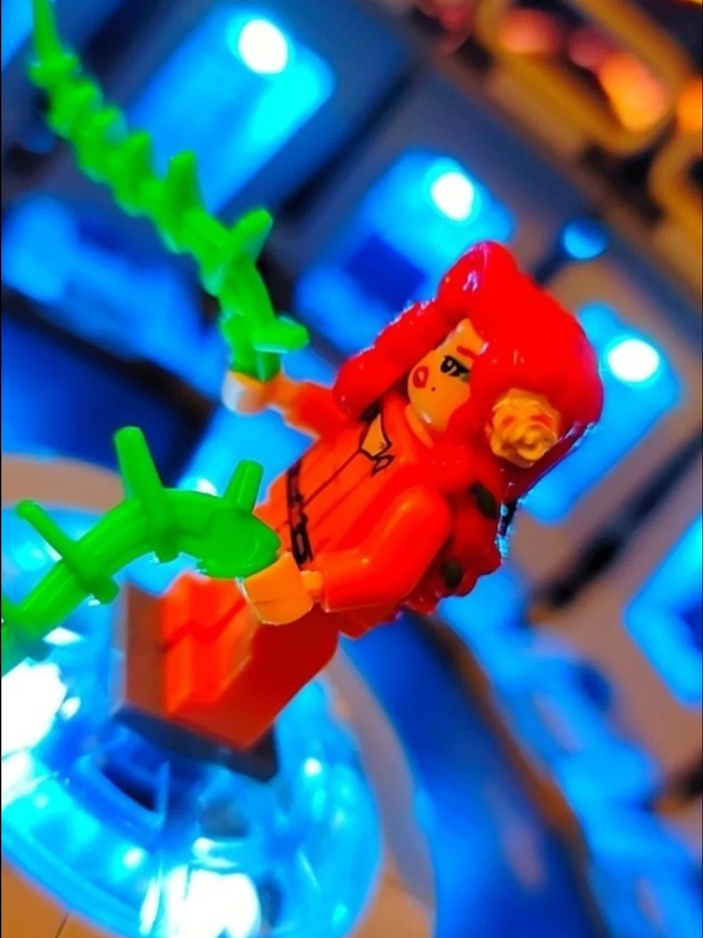 Batman Poison Ivy Minifigure Lego Compatible